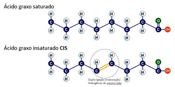 Gordura saturada é mesmo a grande vilã que todos falam?